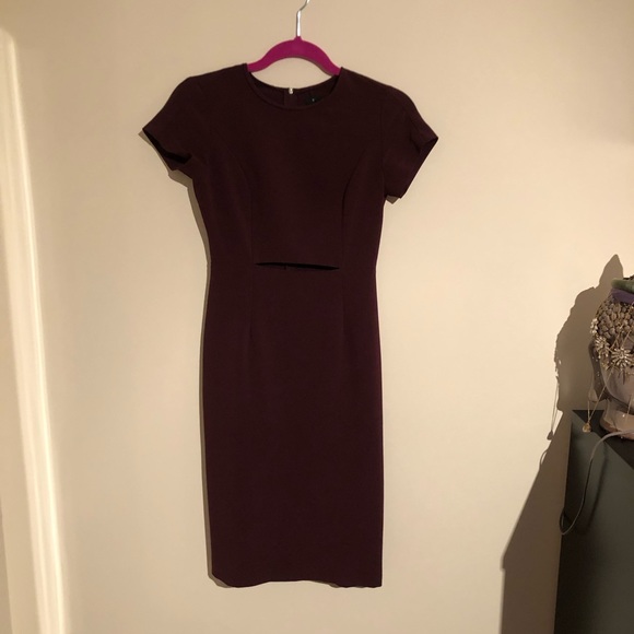 Aritzia Babaton Prosper Dress - Picture 4 of 5
